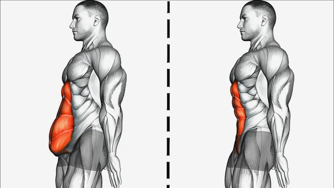 تجربتي مع دهن البطن بزيت الزيتون