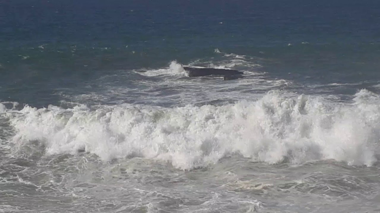 تفسير حلم البحر الهائج والنجاة منه للعزباء