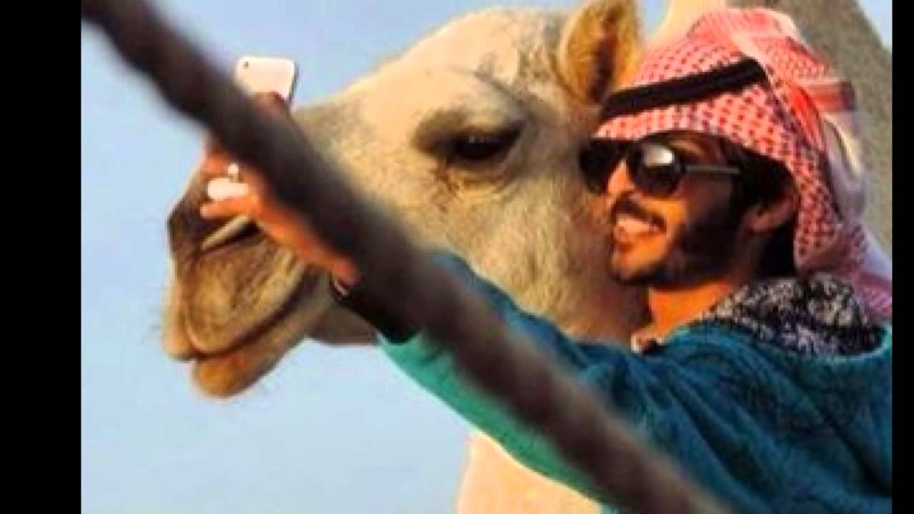 أمثال بدوية عن عزة النفس