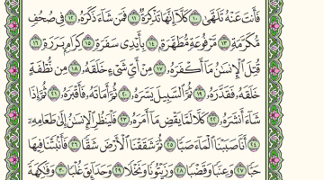 تفسير سورة عبس للأطفال