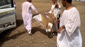 لماذا سمي الرشايدة بهتيم