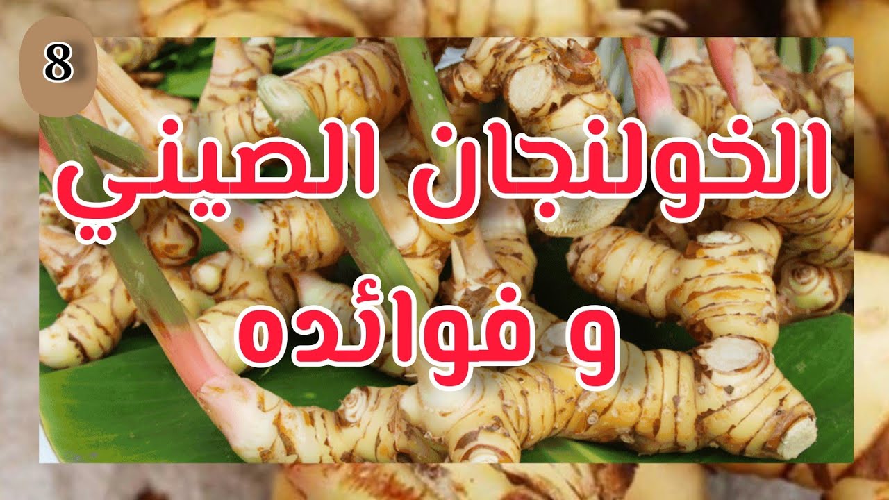 تجربتي مع الخولنجان