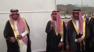 كم عدد قبيلة غامد