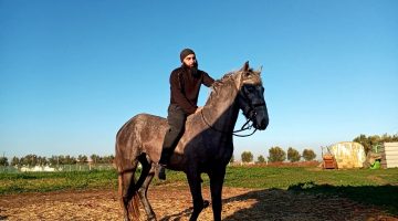 تفسير حلم ركوب الخيل والجري به