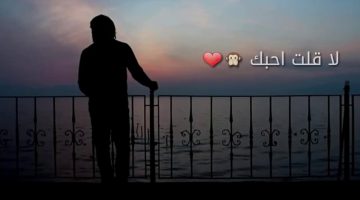 رد على كلمة أحبك بشعر