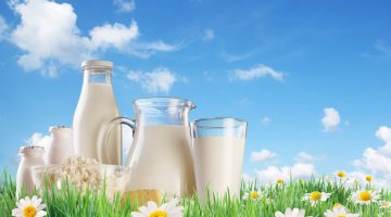 فوائد حليب انشور للشعر