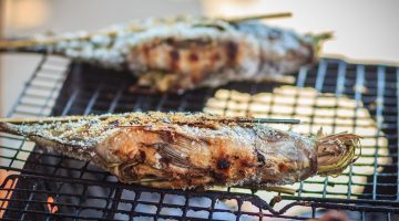 متى ياكل الرضيع السمك