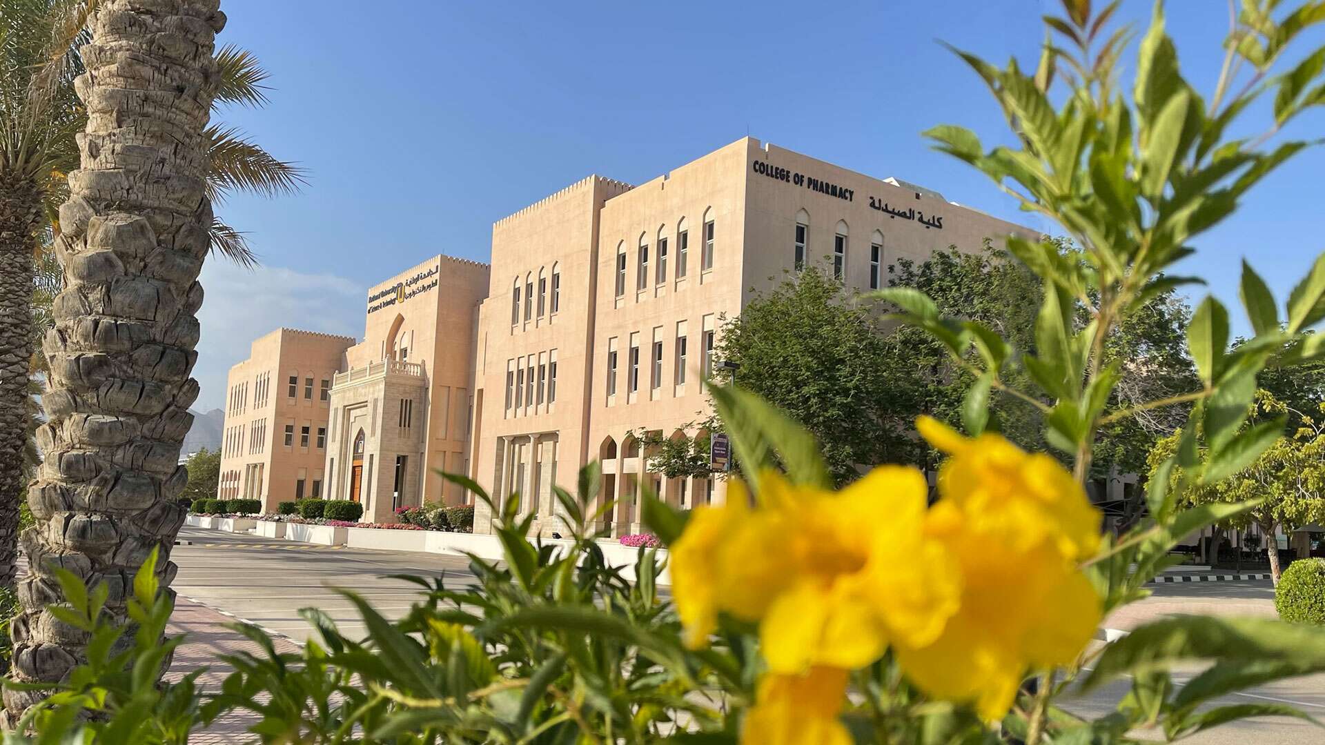 نسب القبول في جامعة الجوف