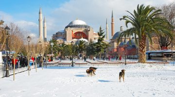 شعر عن الشتاء والنار