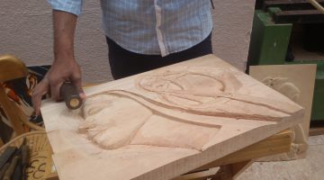 الفرق بين الخشب واللحاء