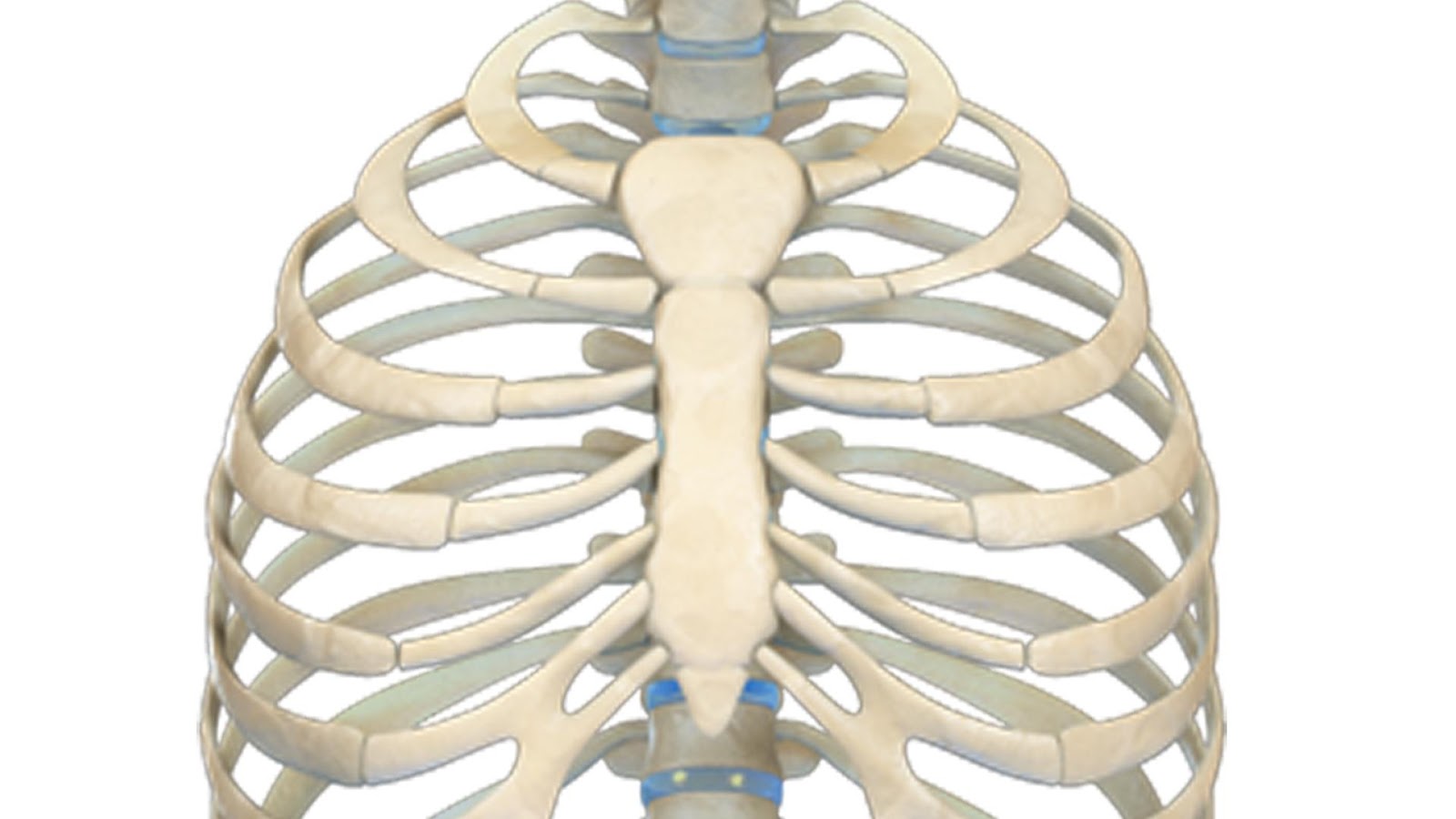 ألم عند الضغط على عظمة القص