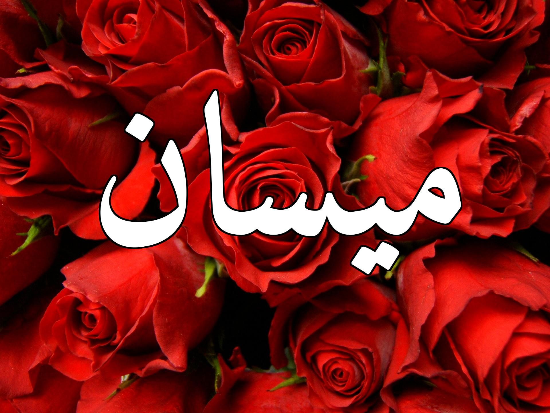 معنى اسم ميسان