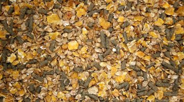 جدول نسبة البروتين في الأعلاف