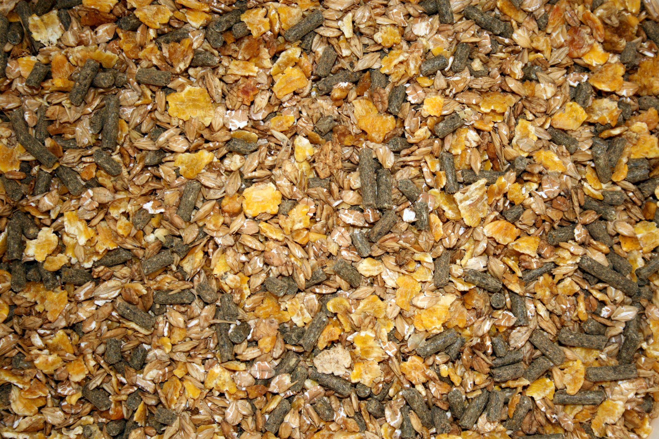 جدول نسبة البروتين في الأعلاف