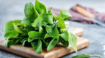 تجربتي مع الميرمية لفتح الرحم