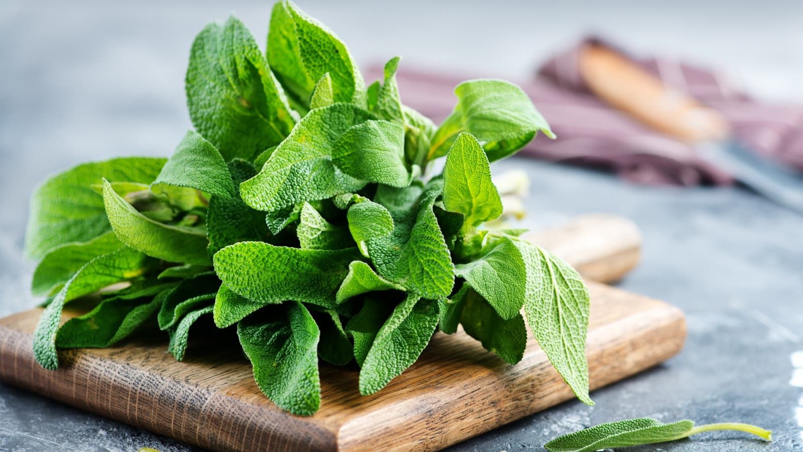 تجربتي مع الميرمية لفتح الرحم