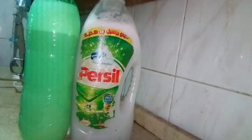 هل مسحوق الغسيل يقتل القمل