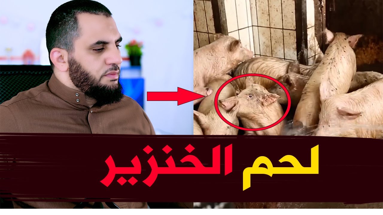 رفض أكل لحم الخنزير في المنام