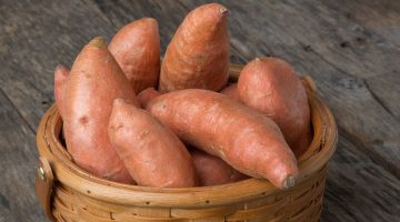 أبرز فوائد البطاطا الحلوة للرجال والنساء